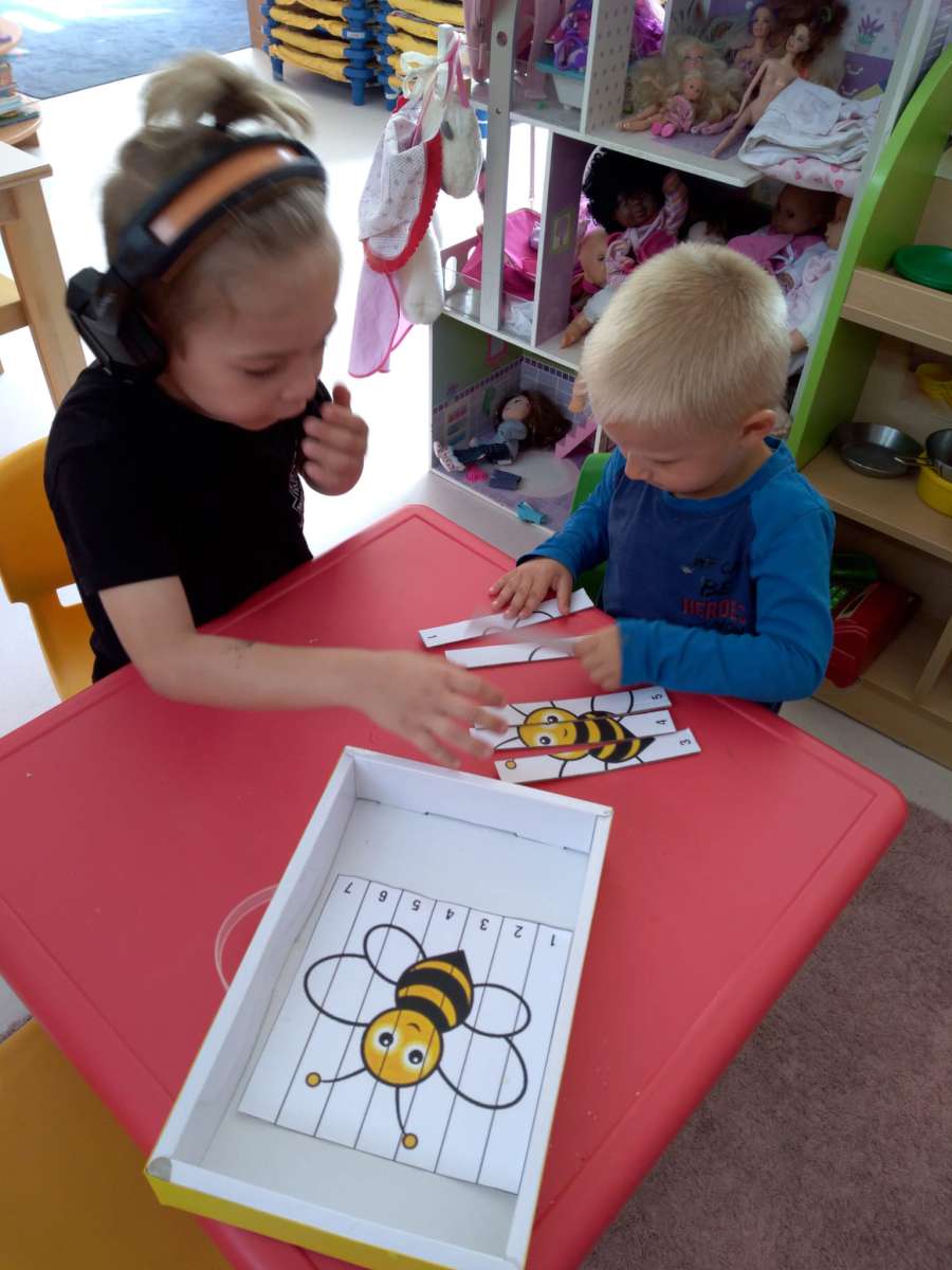 Projekt 